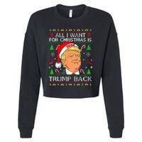 All I Want For Christmas Is Trump Back 2024 Cropped Pullover Crew