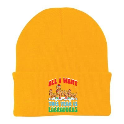 All I Want This Year Is Labrador Dog Wearing Christmas Hat Gift Knit Cap Winter Beanie