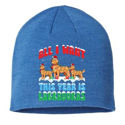 All I Want This Year Is Labrador Dog Wearing Christmas Hat Gift Sustainable Beanie