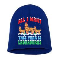 All I Want This Year Is Labrador Dog Wearing Christmas Hat Gift Short Acrylic Beanie