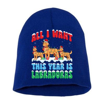 All I Want This Year Is Labrador Dog Wearing Christmas Hat Gift Short Acrylic Beanie