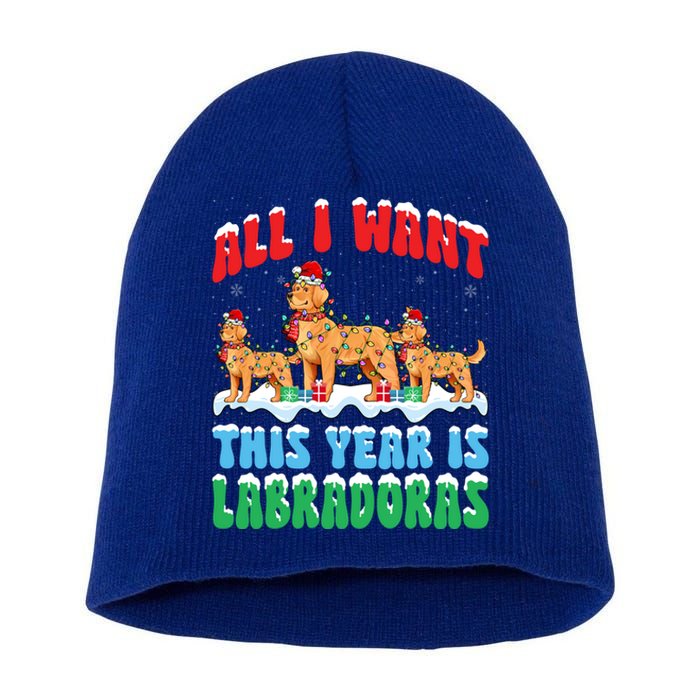 All I Want This Year Is Labrador Dog Wearing Christmas Hat Gift Short Acrylic Beanie