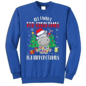 All I Want For Christmas Is A Hippopotamus Buffalo Plaid Gift Sweatshirt