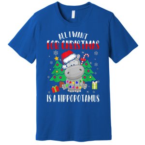 All I Want For Christmas Is A Hippopotamus Buffalo Plaid Gift Premium T-Shirt