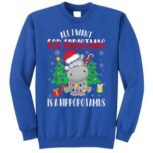 All I Want For Christmas Is A Hippopotamus Buffalo Plaid Gift Tall Sweatshirt