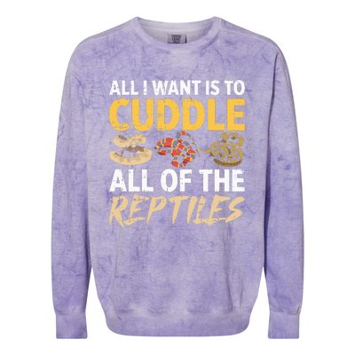 All I Want Is To Cuddle All These Reptiles Lover Colorblast Crewneck Sweatshirt