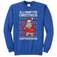 All I Want For Christmas Is A Hippopotamus Ugly Xmas Gift Sweatshirt