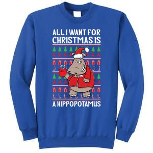 All I Want For Christmas Is A Hippopotamus Ugly Xmas Gift Tall Sweatshirt