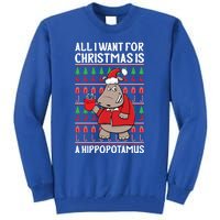 All I Want For Christmas Is A Hippopotamus Ugly Xmas Gift Tall Sweatshirt