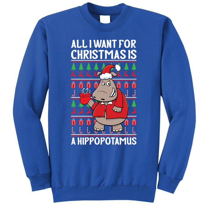 All I Want For Christmas Is A Hippopotamus Ugly Xmas Gift Tall Sweatshirt