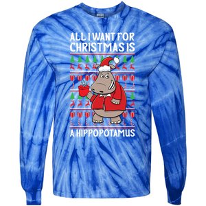 All I Want For Christmas Is A Hippopotamus Ugly Xmas Gift Tie-Dye Long Sleeve Shirt