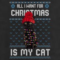 All I Want For Christmas Is My Cat Ugly Christmas Sweater Funny Gift 11oz C Handle Ceramic Mug