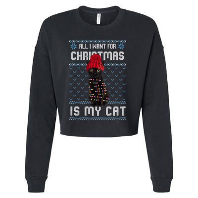 All I Want For Christmas Is My Cat Ugly Christmas Sweater Funny Gift Cropped Pullover Crew
