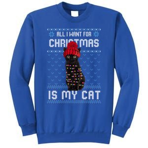 All I Want For Christmas Is My Cat Ugly Christmas Sweater Funny Gift Tall Sweatshirt