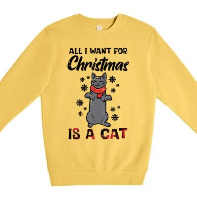 All I Want For Christmas Is Cat Xmas Gift Premium Crewneck Sweatshirt