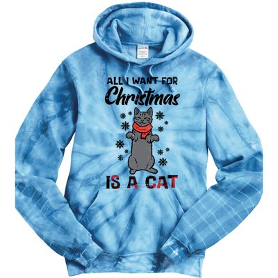 All I Want For Christmas Is Cat Xmas Gift Tie Dye Hoodie