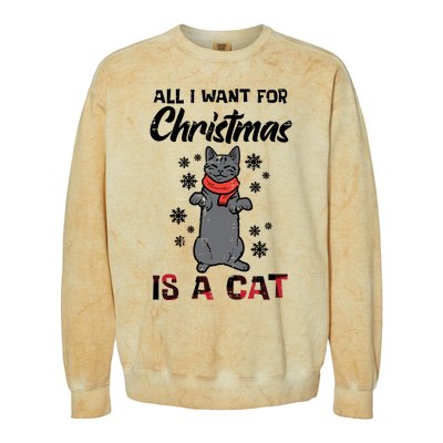 All I Want For Christmas Is Cat Xmas Gift Colorblast Crewneck Sweatshirt