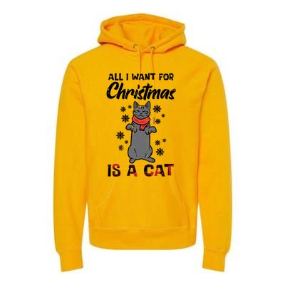 All I Want For Christmas Is Cat Xmas Gift Premium Hoodie