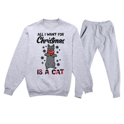 All I Want For Christmas Is Cat Xmas Gift Premium Crewneck Sweatsuit Set