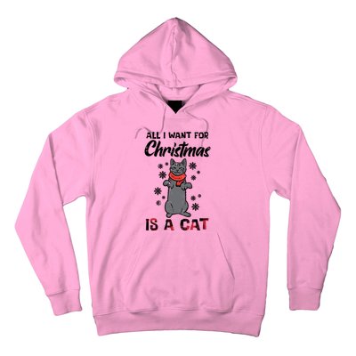 All I Want For Christmas Is Cat Xmas Gift Hoodie