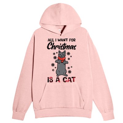 All I Want For Christmas Is Cat Xmas Gift Urban Pullover Hoodie