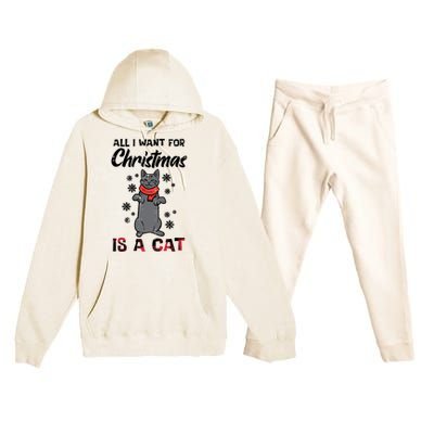 All I Want For Christmas Is Cat Xmas Gift Premium Hooded Sweatsuit Set