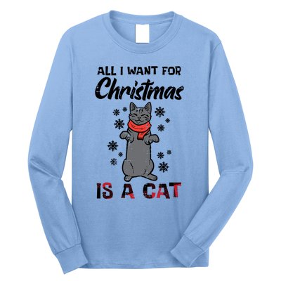 All I Want For Christmas Is Cat Xmas Gift Long Sleeve Shirt