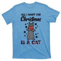 All I Want For Christmas Is Cat Xmas Gift T-Shirt