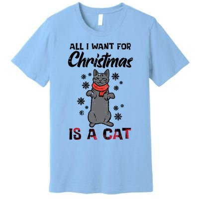 All I Want For Christmas Is Cat Xmas Gift Premium T-Shirt