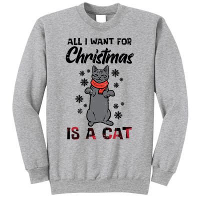 All I Want For Christmas Is Cat Xmas Gift Sweatshirt