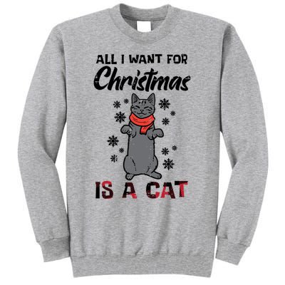 All I Want For Christmas Is Cat Xmas Gift Tall Sweatshirt