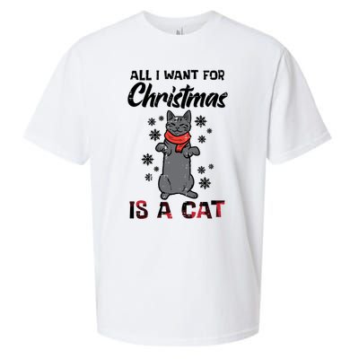 All I Want For Christmas Is Cat Xmas Gift Sueded Cloud Jersey T-Shirt