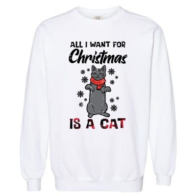 All I Want For Christmas Is Cat Xmas Gift Garment-Dyed Sweatshirt