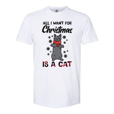 All I Want For Christmas Is Cat Xmas Gift Softstyle® CVC T-Shirt