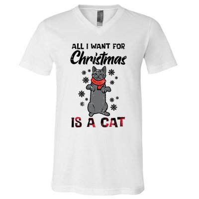 All I Want For Christmas Is Cat Xmas Gift V-Neck T-Shirt