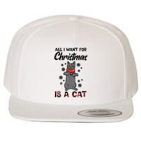 All I Want For Christmas Is Cat Xmas Gift Wool Snapback Cap