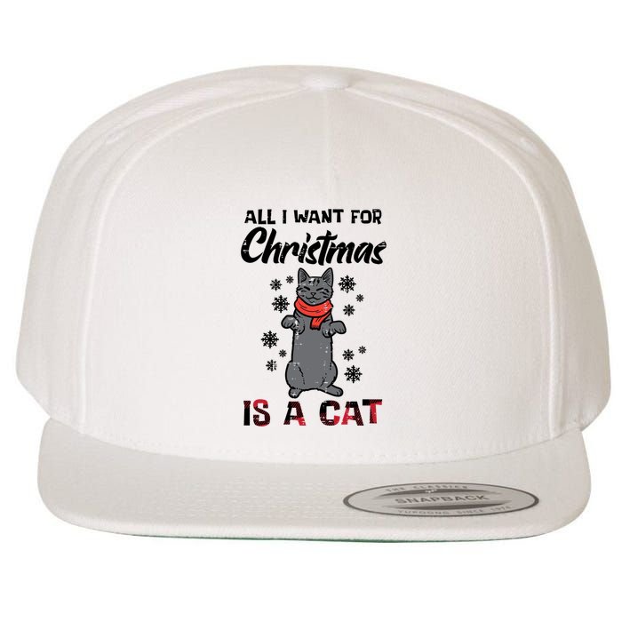 All I Want For Christmas Is Cat Xmas Gift Wool Snapback Cap