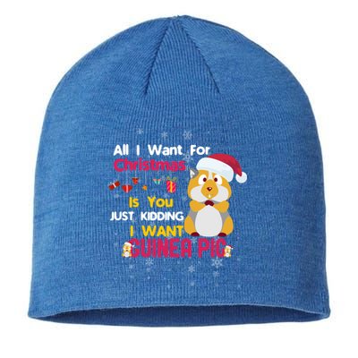 All I Want For Xmas Is You Just Ding I Want Guinea Pig Gift Sustainable Beanie