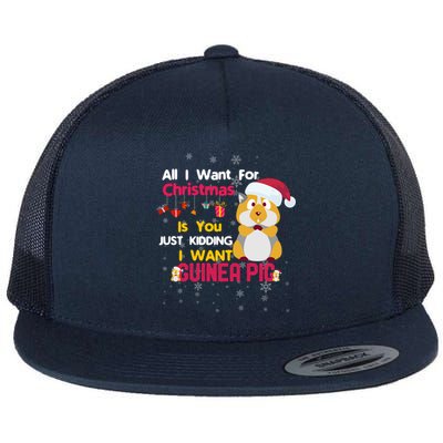 All I Want For Xmas Is You Just Ding I Want Guinea Pig Gift Flat Bill Trucker Hat