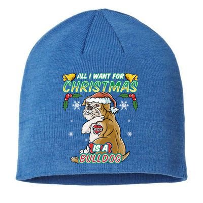 All I Want For Christmas Is A Bulldog Santa Claus Dog Xmas Gift Sustainable Beanie