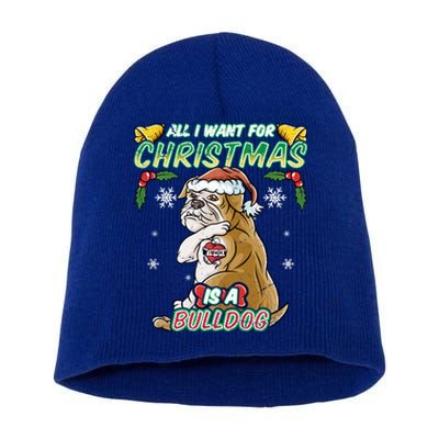 All I Want For Christmas Is A Bulldog Santa Claus Dog Xmas Gift Short Acrylic Beanie