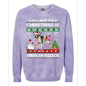 All I Want For Christmas Is American Bulldog Dog Xmas Gift Colorblast Crewneck Sweatshirt