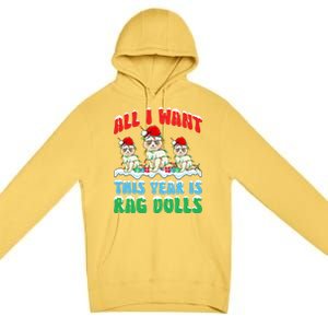 All I Want This Year Is Ragdoll Cat Wearing Christmas Hat Gift Premium Pullover Hoodie