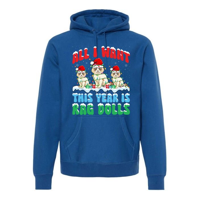 All I Want This Year Is Ragdoll Cat Wearing Christmas Hat Gift Premium Hoodie