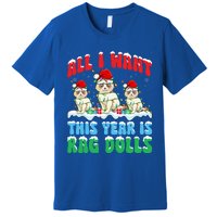 All I Want This Year Is Ragdoll Cat Wearing Christmas Hat Gift Premium T-Shirt