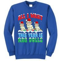 All I Want This Year Is Ragdoll Cat Wearing Christmas Hat Gift Tall Sweatshirt