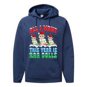 All I Want This Year Is Ragdoll Cat Wearing Christmas Hat Gift Performance Fleece Hoodie