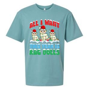 All I Want This Year Is Ragdoll Cat Wearing Christmas Hat Gift Sueded Cloud Jersey T-Shirt