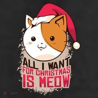 All I Want For Christmas Is Meow Funny Cat Gift 11oz C Handle Ceramic Mug