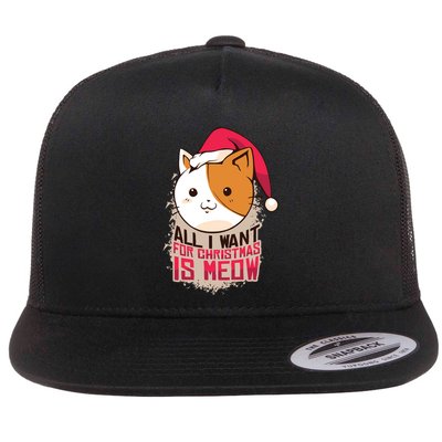 All I Want For Christmas Is Meow Funny Cat Gift Flatbill Hat